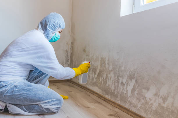 Licensed Crawl Space Mold Removal service in Feasterville Trevose, PA - WQB Mold Removal