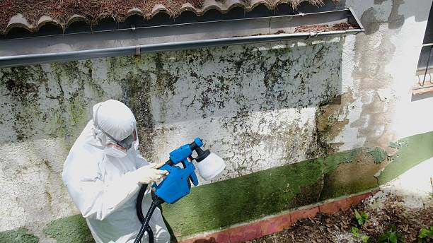 Top rated local Crawl Space Mold Removal specialists in Feasterville Trevose, PA